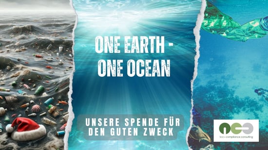 „OEOO“ – Eine Organisation die unseren Meeren von Plastikmüll befreit